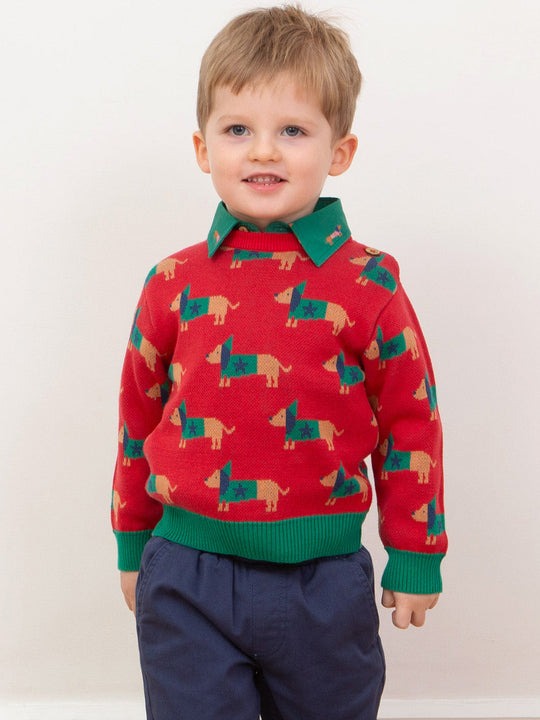 An image of the Kite Daxie Dog Jumper