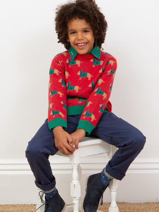 An image of the Kite Daxie Dog Jumper