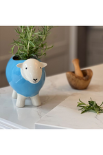 The Herdy Company Sheep Planter in Blue.