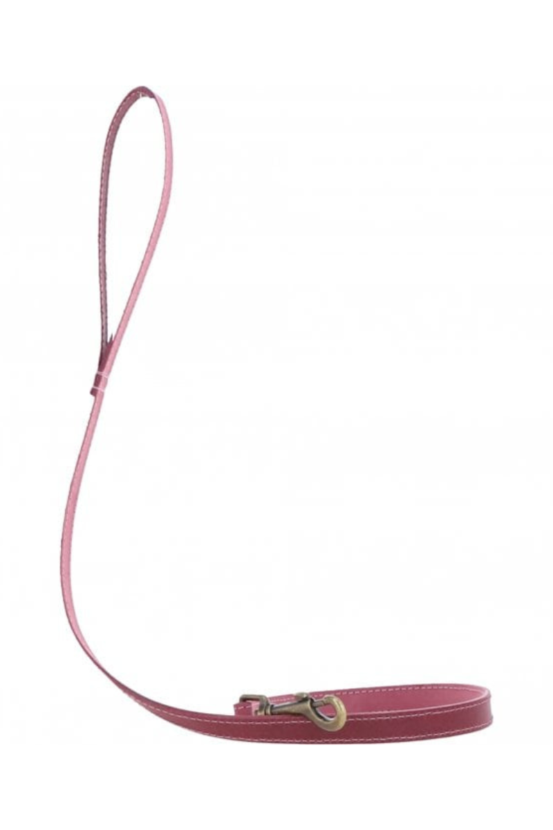 Leather Pet Lead