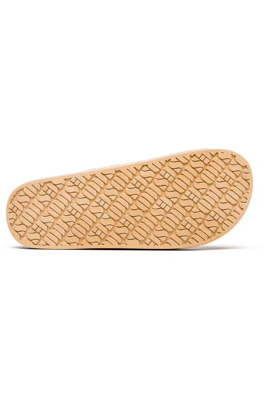 An image of the Freedom Moses Basic Slides