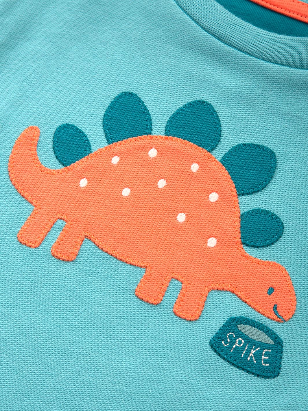 An image of the Kite My Pet Steggie T-Shirt