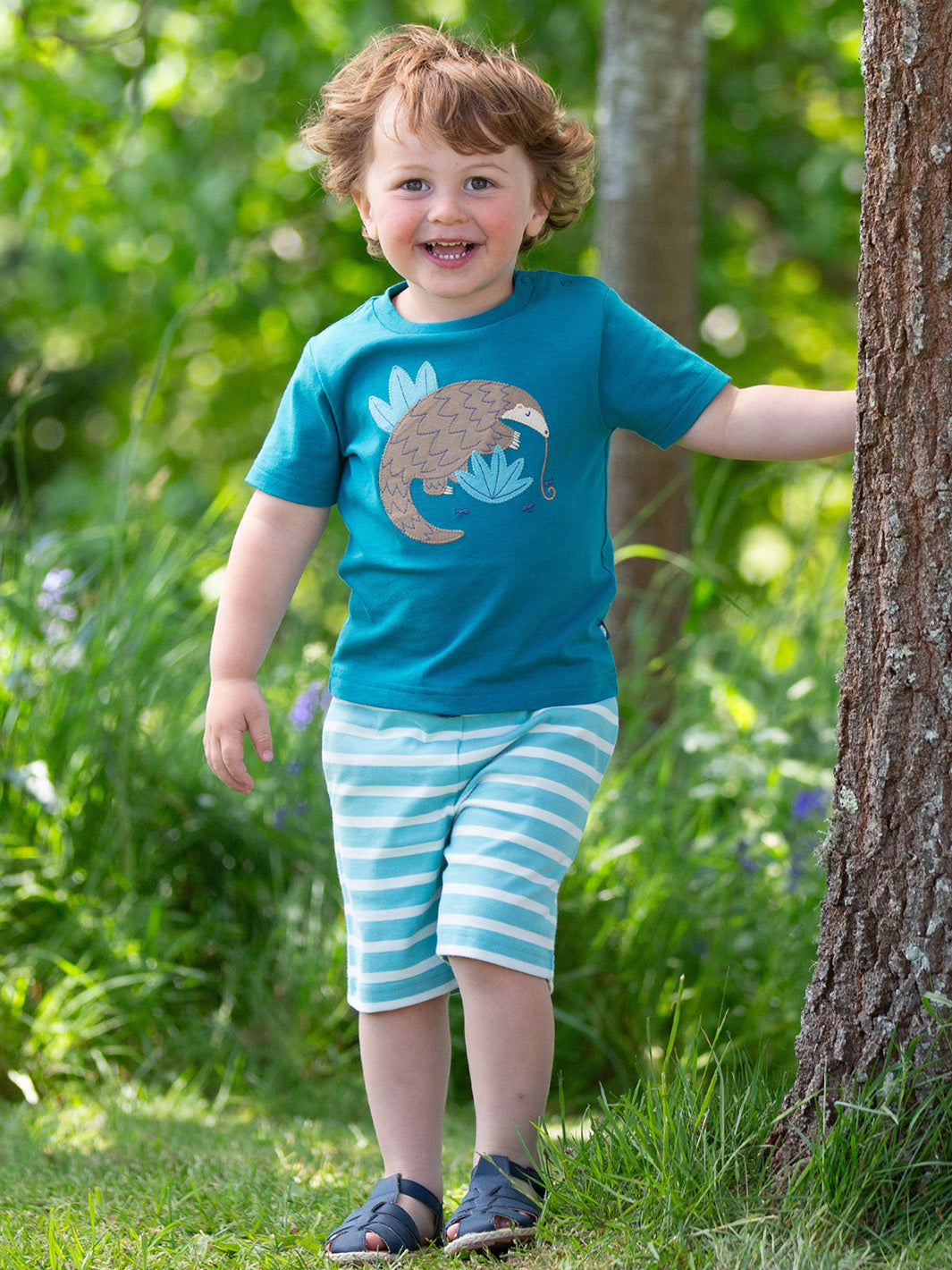 An image of the Kite Corfe Shorts Lagoon