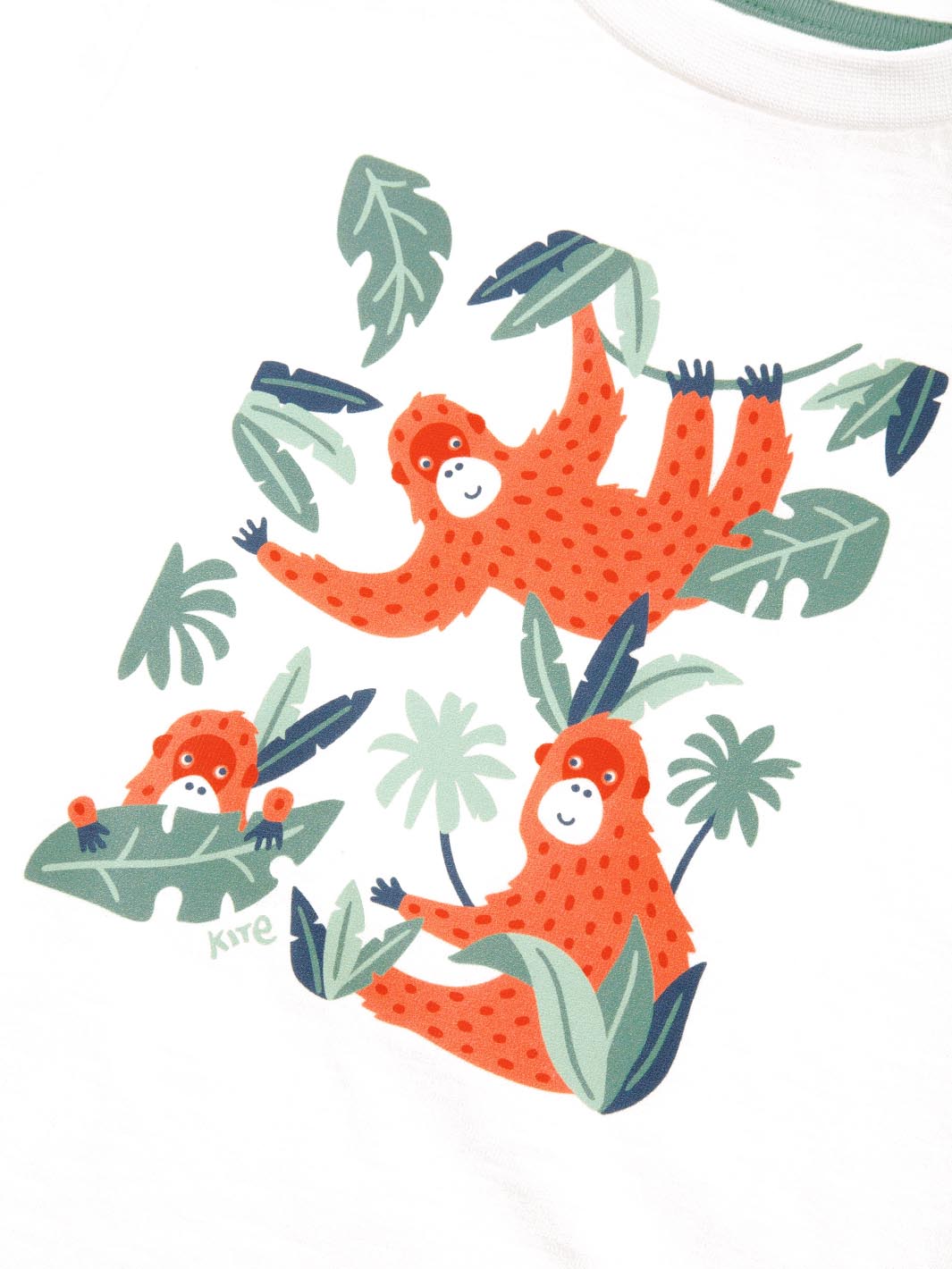 An image of the Kite Orangutan T-Shirt