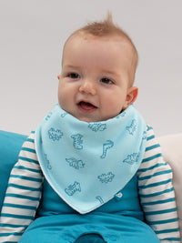 Diddy Dino Bib