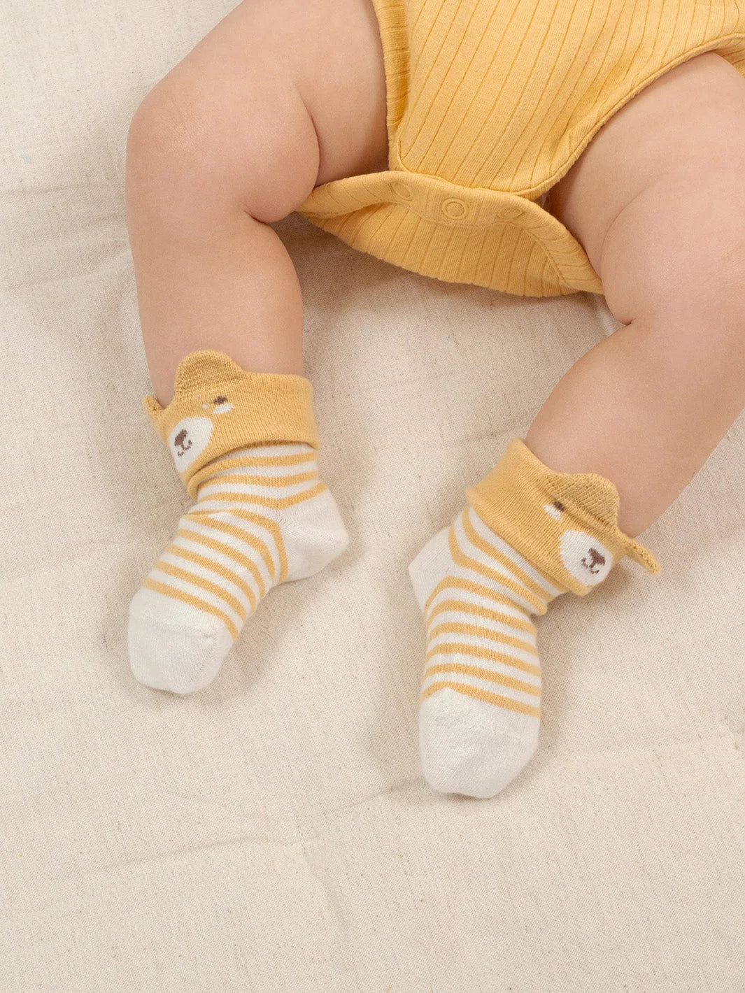 Little Ted Socks