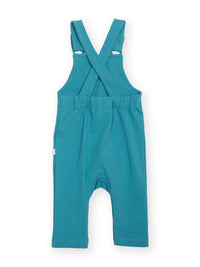 Diddy Dino Dungarees