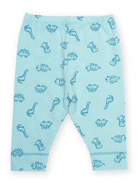 Diddy Dino Leggings