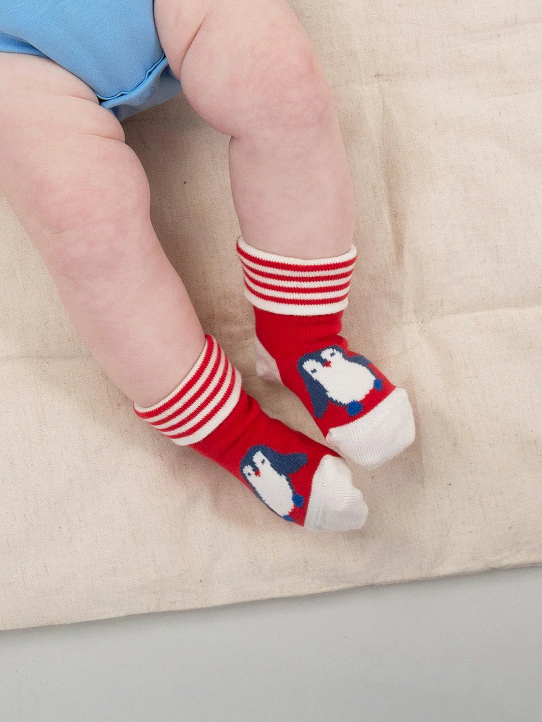 Penguin Parade Socks