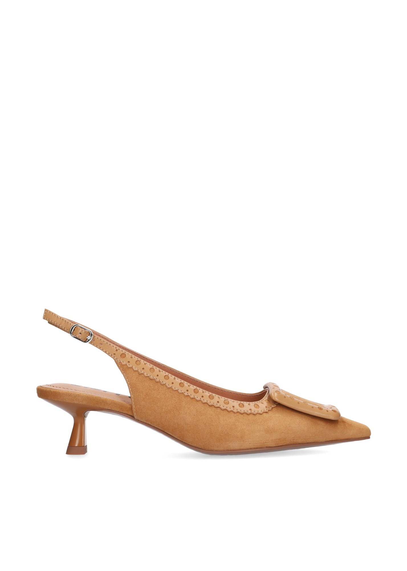 Bonnie Pump 55