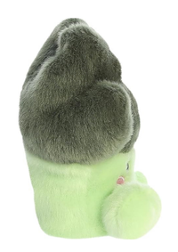 An image of the Aurora Palm Pals