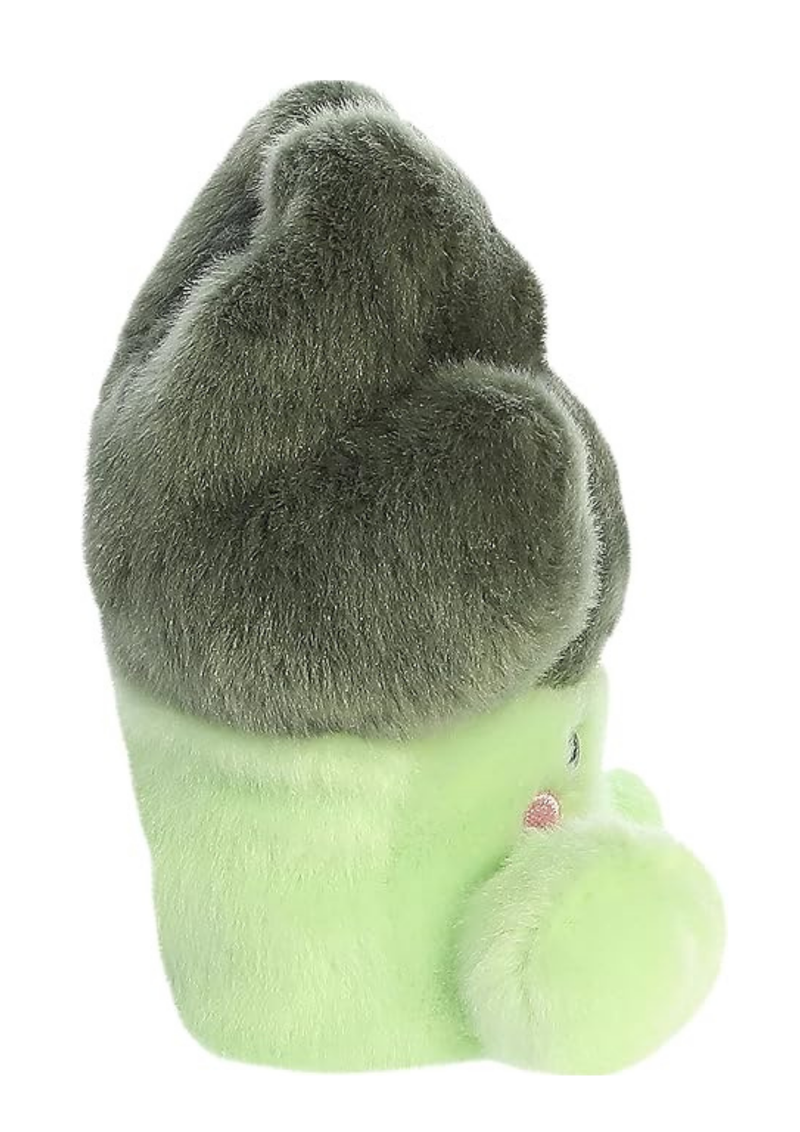 An image of the Aurora Palm Pals