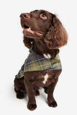 An image of the Barbour Packable Dog Coat