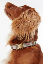 An image of a dog wearing the Barbour Reflective Tartan Dog Collar in the colour Taupe/Pink Tartan.