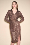 An image of the Joseph Ribkoff Sequin Dress