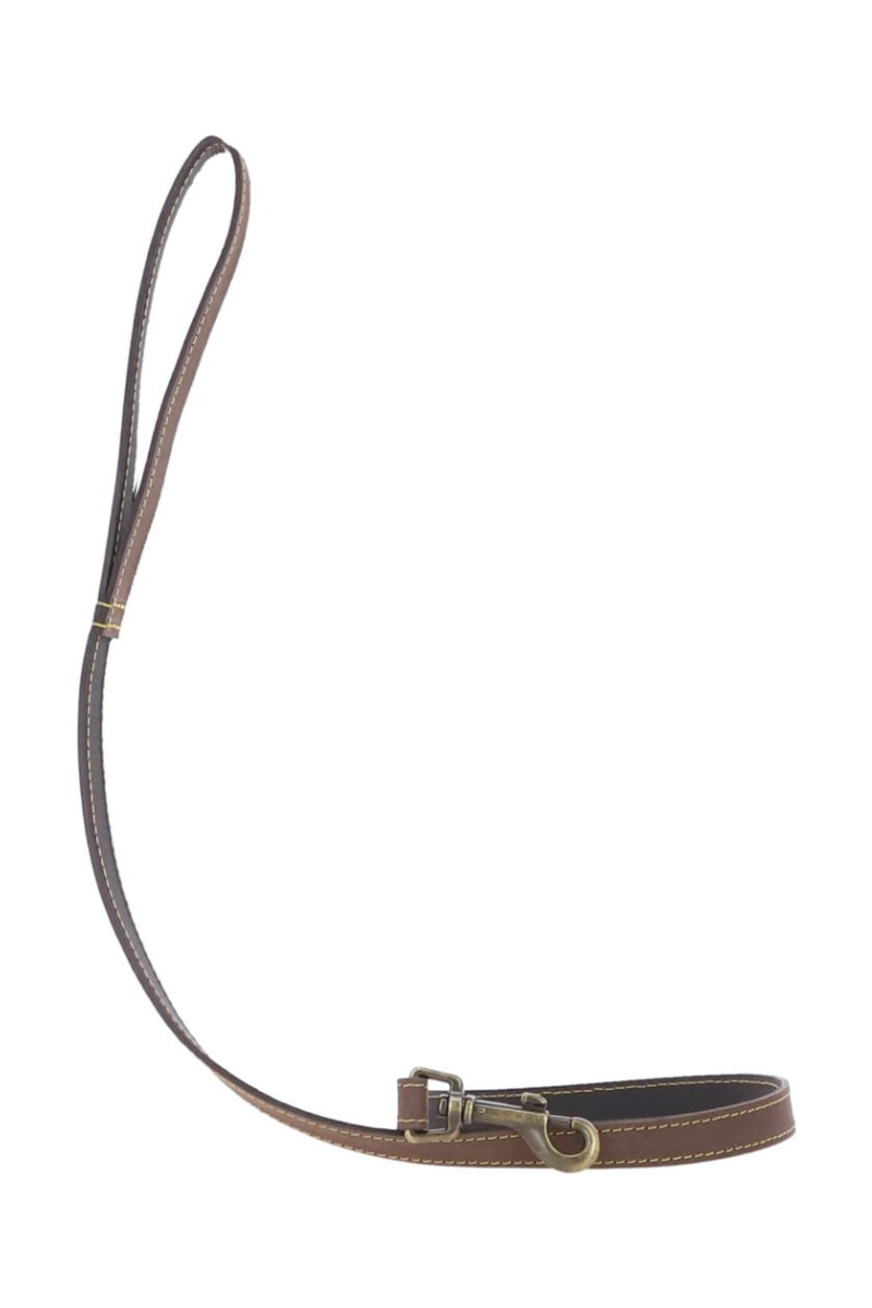 Leather Pet Lead