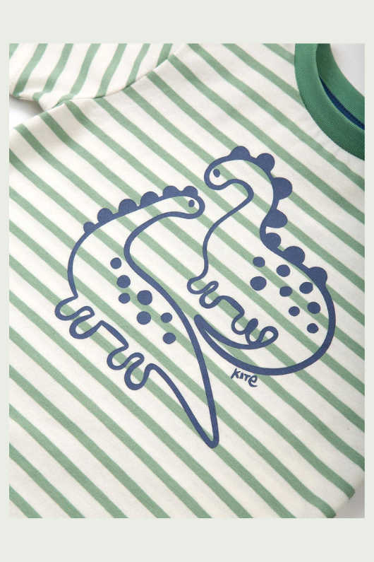 Kite T-Shirt. A kids T-shirt made from organic cotton. This tee features a cute stripy dinosaur print and has short sleeves and a round neck.