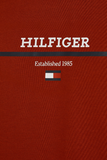 An image of the Tommy Hilfiger Hilfiger Stripe Terry Hoodie