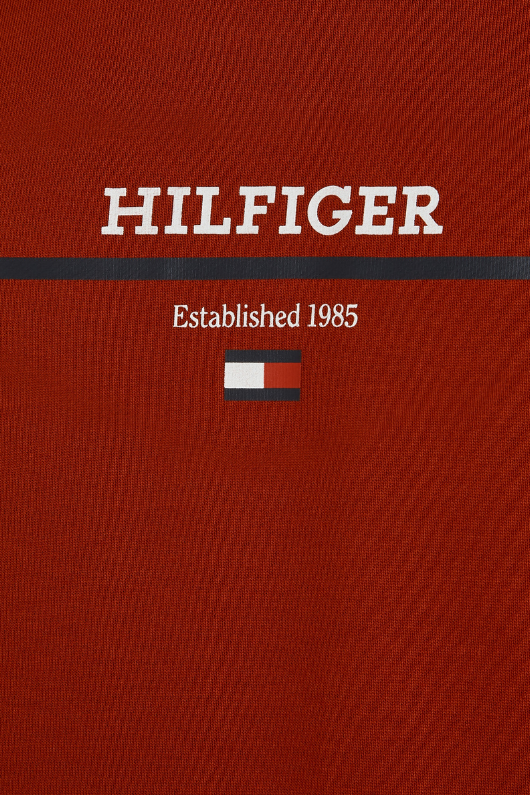 An image of the Tommy Hilfiger Hilfiger Stripe Terry Hoodie