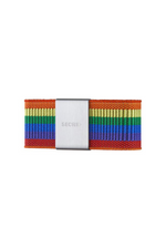 An image of the Secrid Moneyband