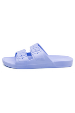 An image of the Freedom Moses Basic Slides