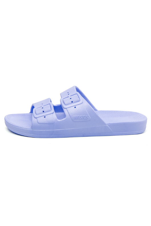An image of the Freedom Moses Basic Slides
