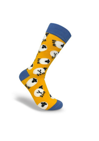 An image of the Thomas Joseph Socks