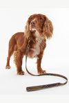 An image of the Barbour Barbour Reflective Tartan Dog Lead