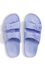 An image of the Freedom Moses Basic Slides