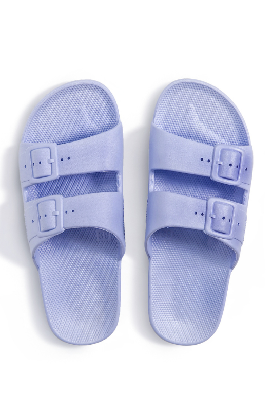 An image of the Freedom Moses Basic Slides