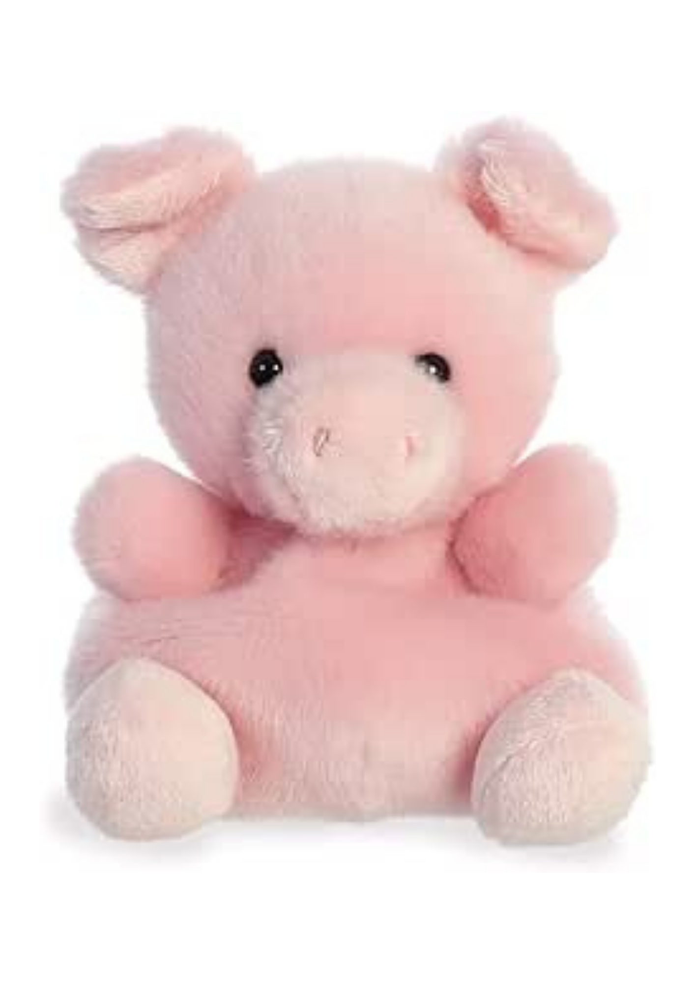 An image of the Aurora World Wizard Pig 5In