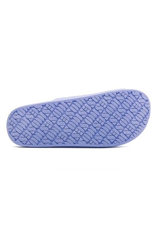 An image of the Freedom Moses Basic Slides
