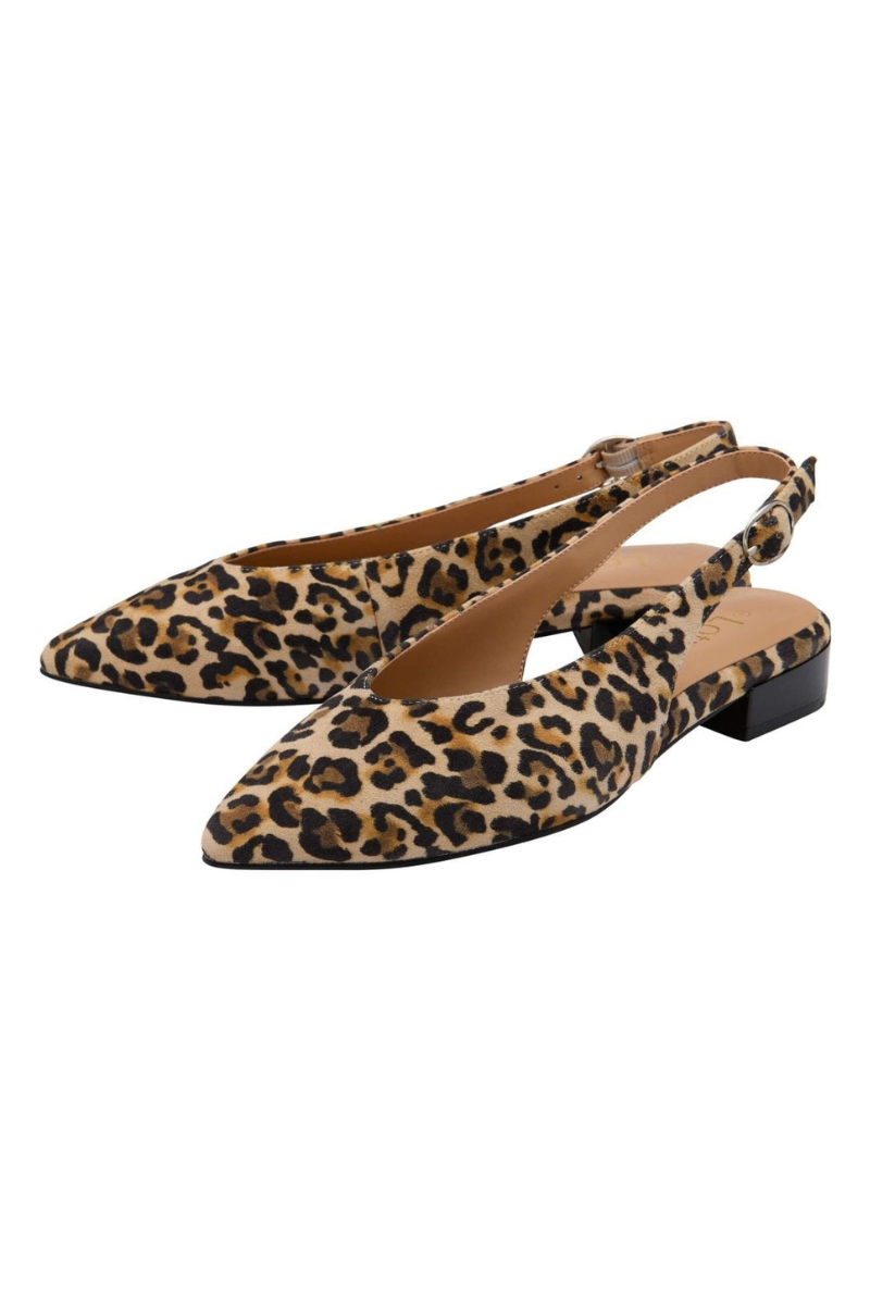 An image of the Lotus Morton Shoe