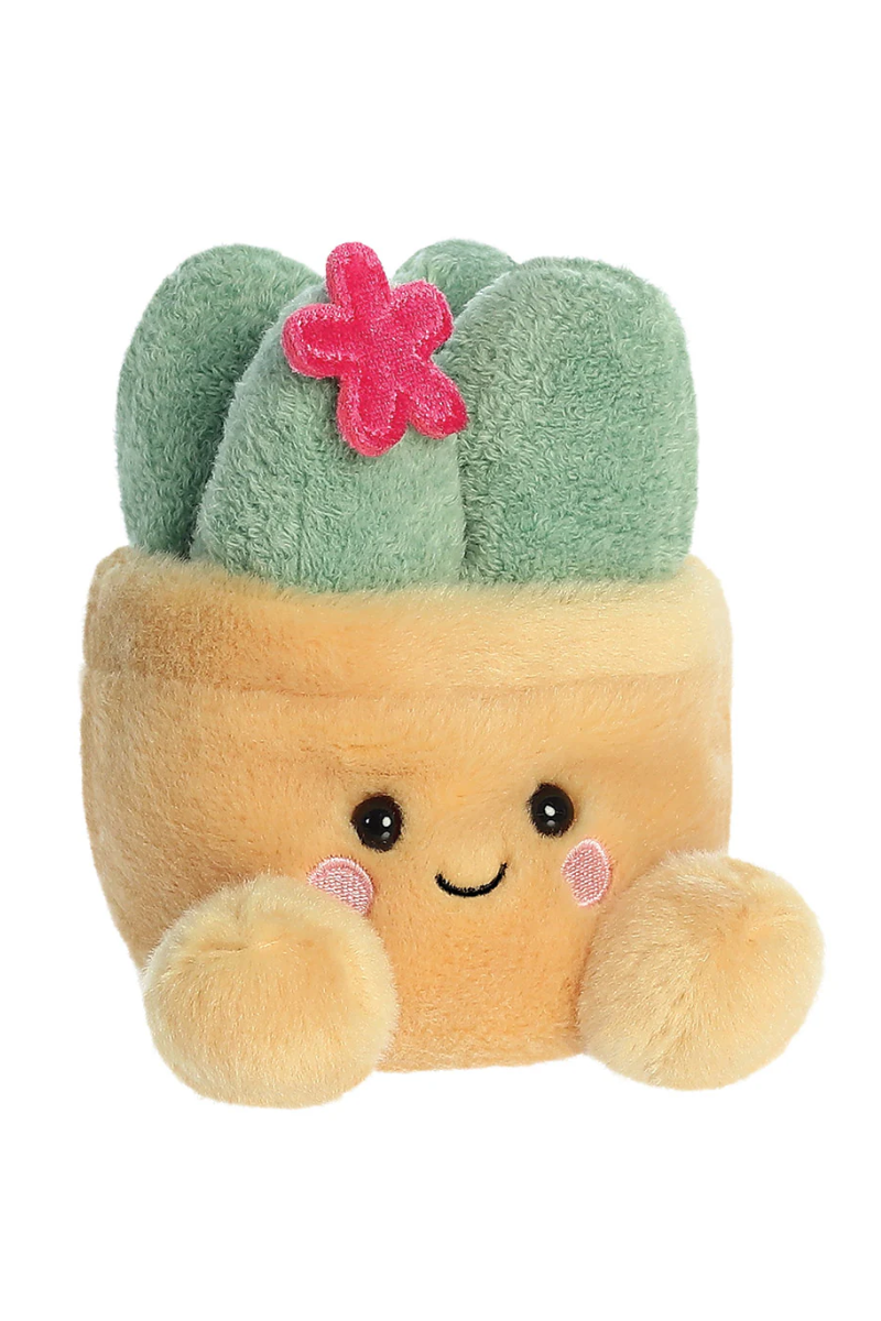 An image of the Aurora World Seyla Succulent 5In