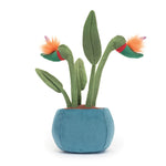 An image of the Jellycat Jellycat Amusables Bird of Paradise
