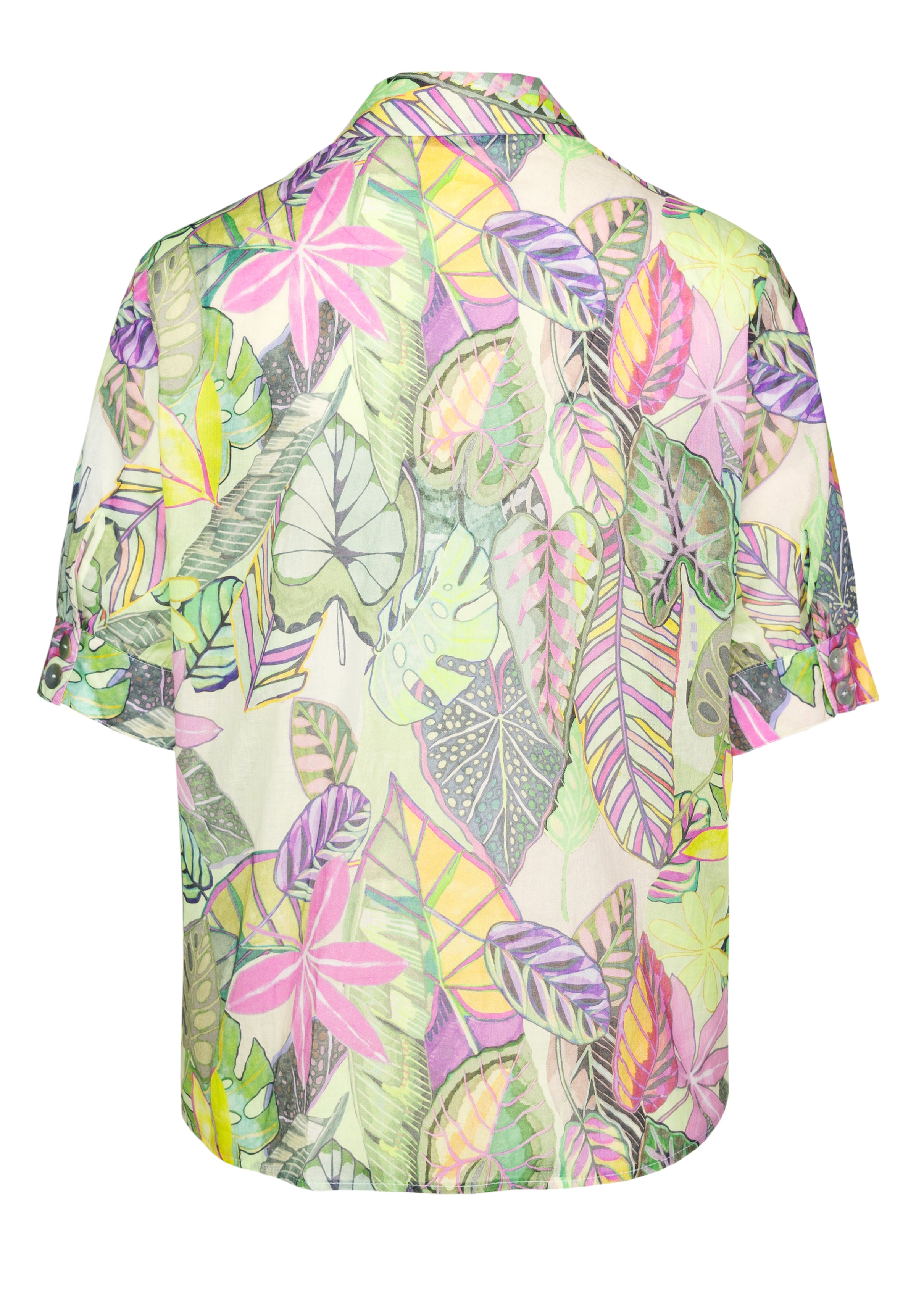 Alica SS Blouses