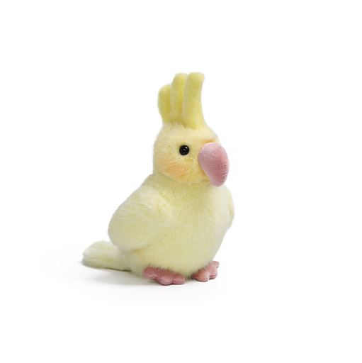 Cockatiel