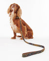 An image of the Barbour Barbour Tartan/Webbing Dog Lead