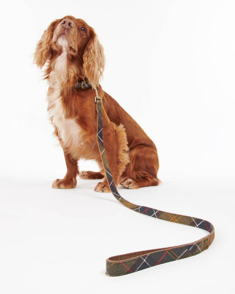 An image of the Barbour Barbour Tartan/Webbing Dog Lead