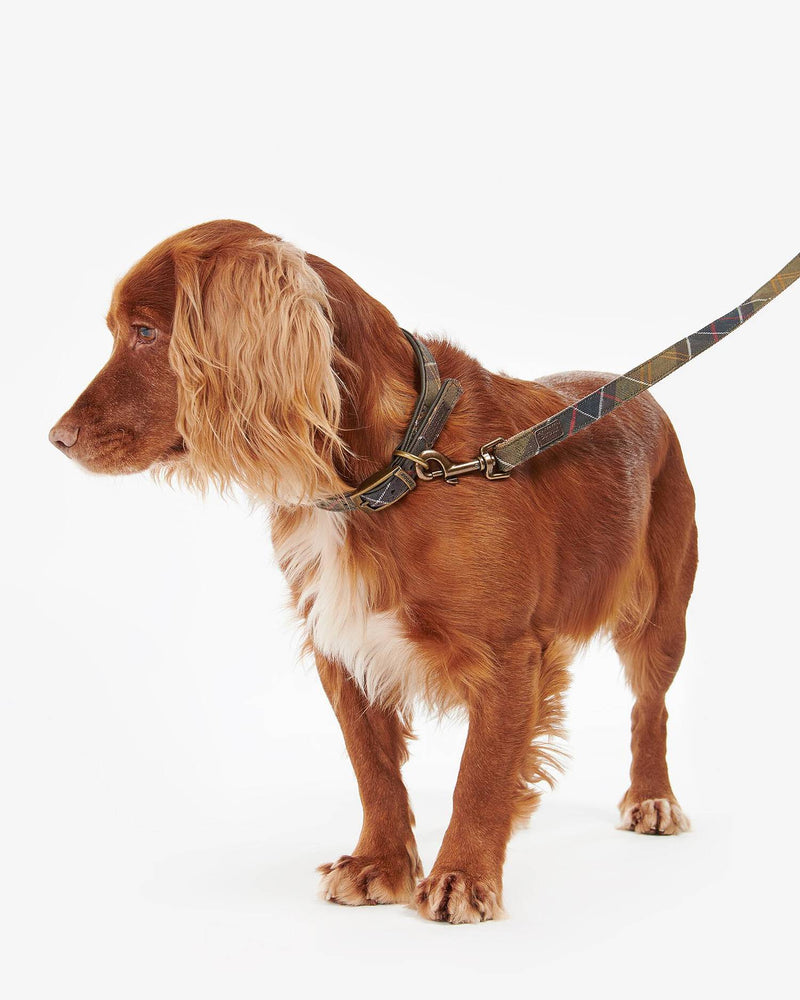 An image of the Barbour Barbour Tartan/Webbing Dog Lead