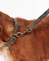 An image of the Barbour Barbour Tartan/Webbing Dog Lead