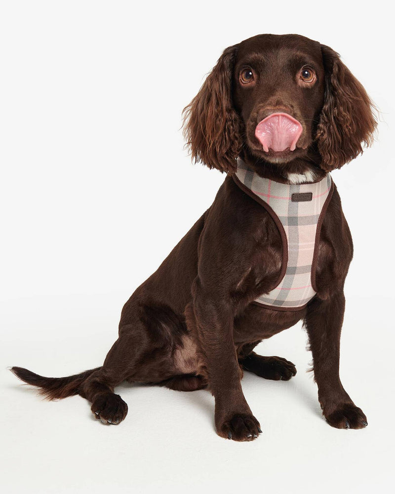 An image of the Barbour Barbour Tartan Dog Harness