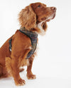 An image of the Barbour Barbour Tartan Dog Harness
