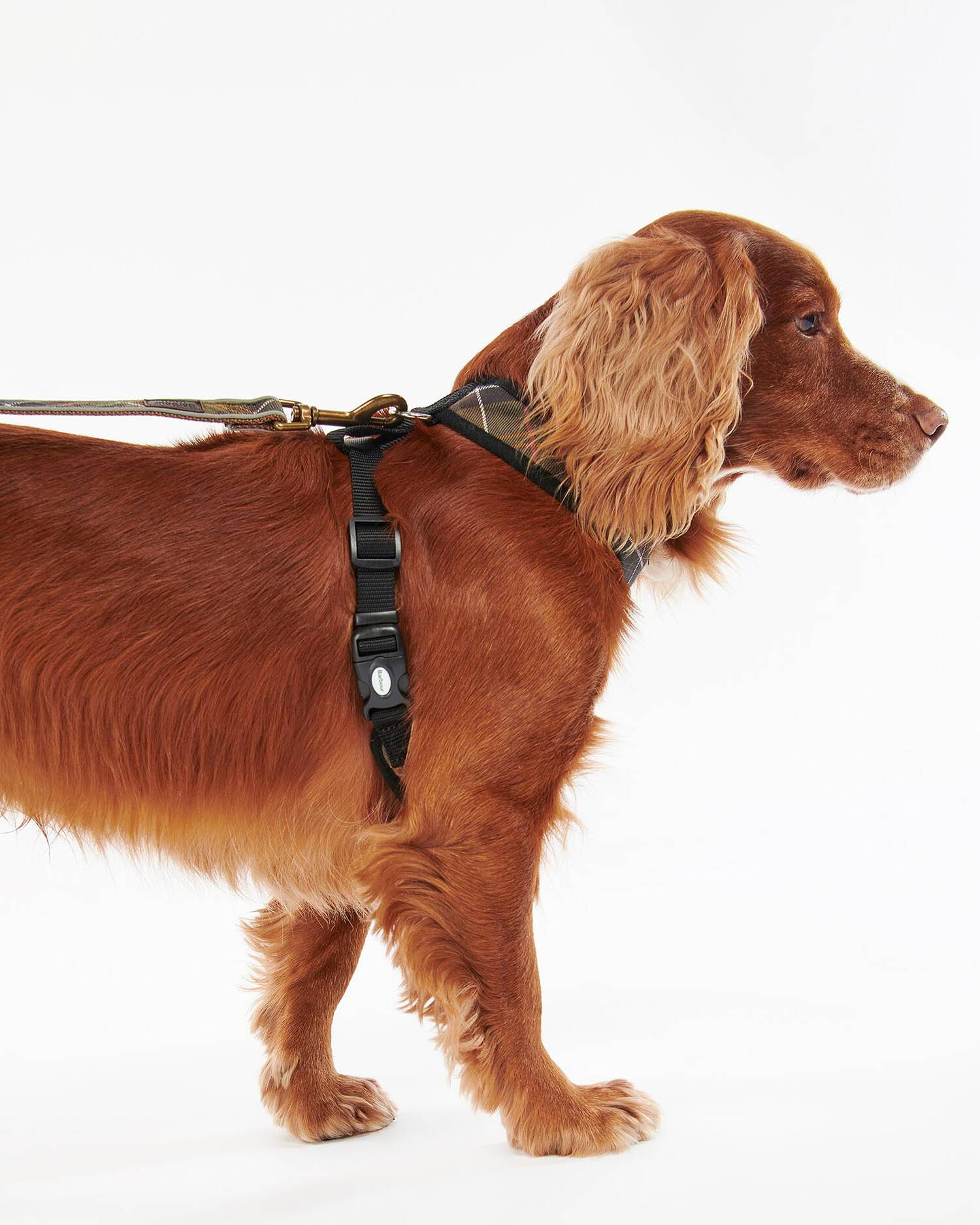 An image of the Barbour Barbour Tartan Dog Harness