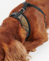 An image of the Barbour Barbour Tartan Dog Harness