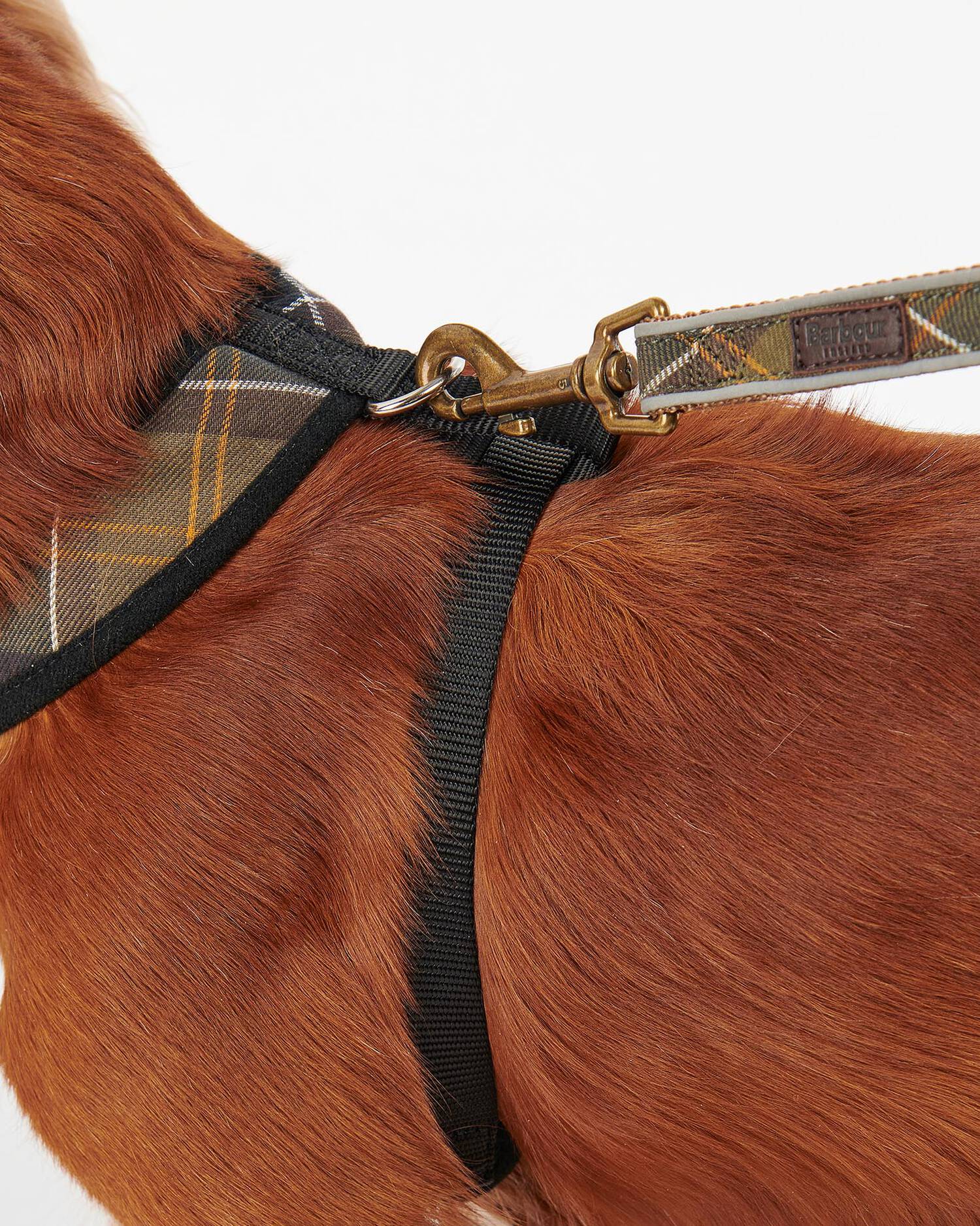 An image of the Barbour Barbour Tartan Dog Harness