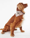 An image of the Barbour Barbour Tartan Dog Bandana