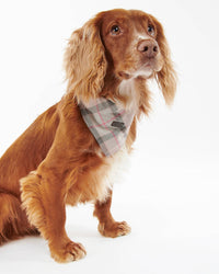 An image of the Barbour Barbour Tartan Dog Bandana