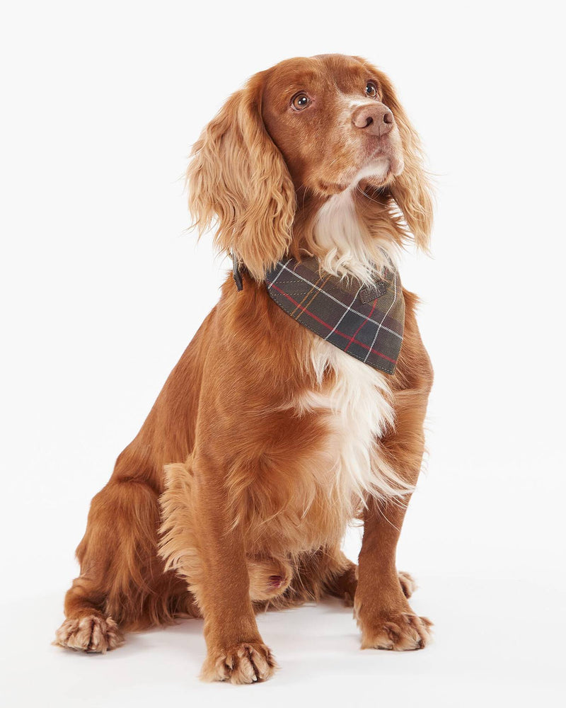 An image of the Barbour Barbour Tartan Dog Bandana