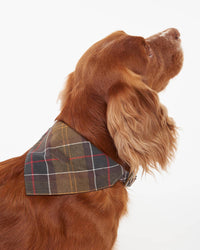 An image of the Barbour Barbour Tartan Dog Bandana